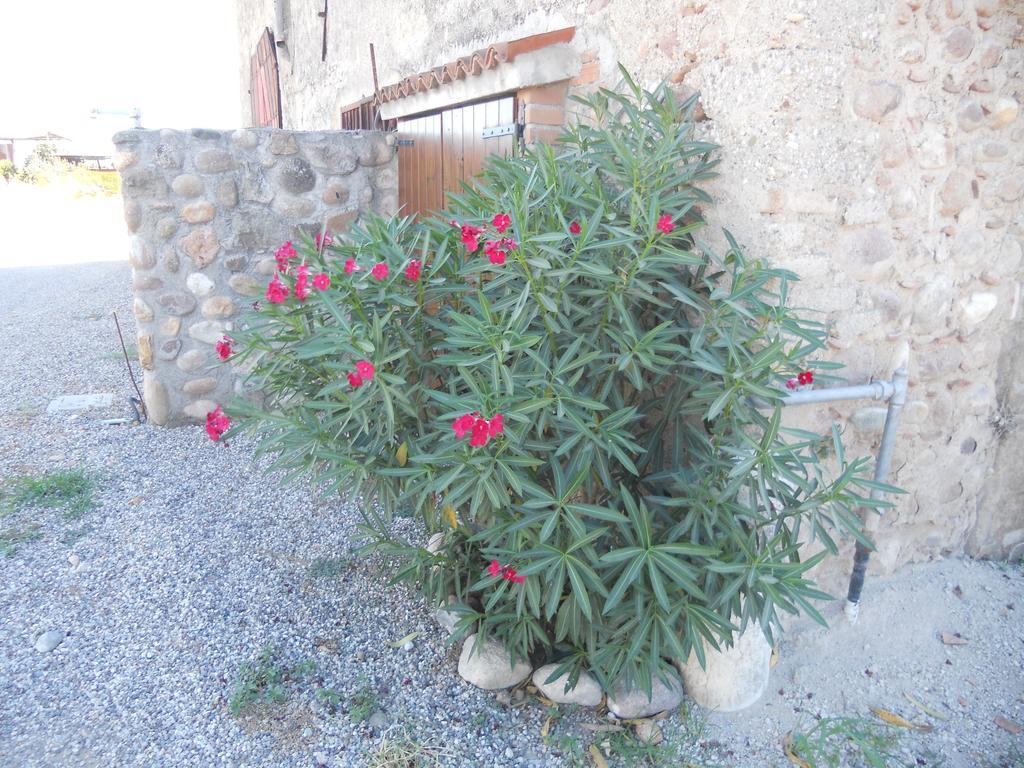 Villa Agriturismo Le Mura Del Gherlo à Valeggio sul Mincio Extérieur photo